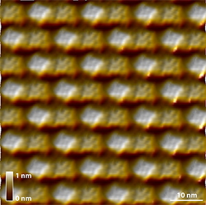 two-dimensional protein crystals