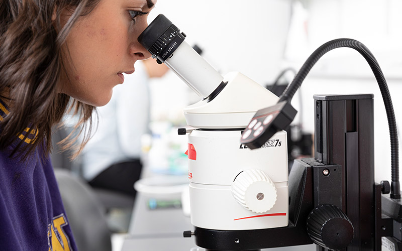 Student looking into microscope