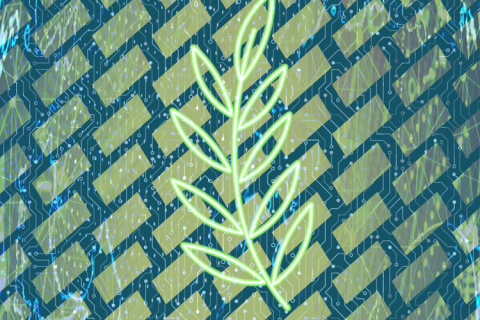POSS-peptoid molecules self-assemble into rhomboid-shaped nanocrystals. (Illustration by Stephanie King | Pacific Northwest National Laboratory)