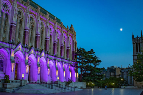 UW in the evening light